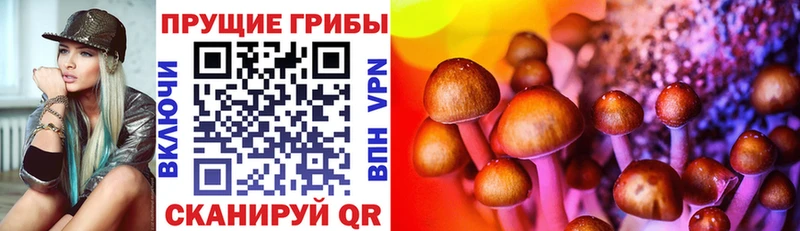 Галлюциногенные грибы мицелий omg ссылки Чухлома